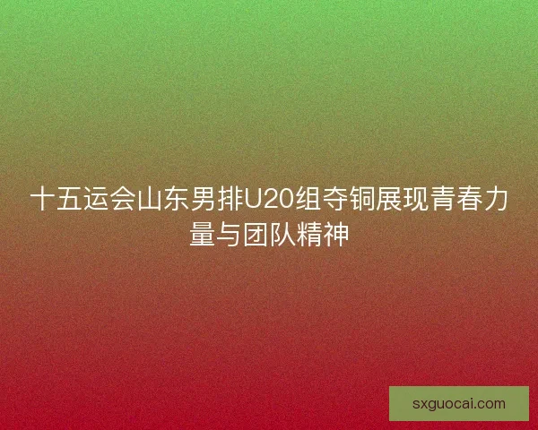 十五运会山东男排U20组夺铜展现青春力量与团队精神